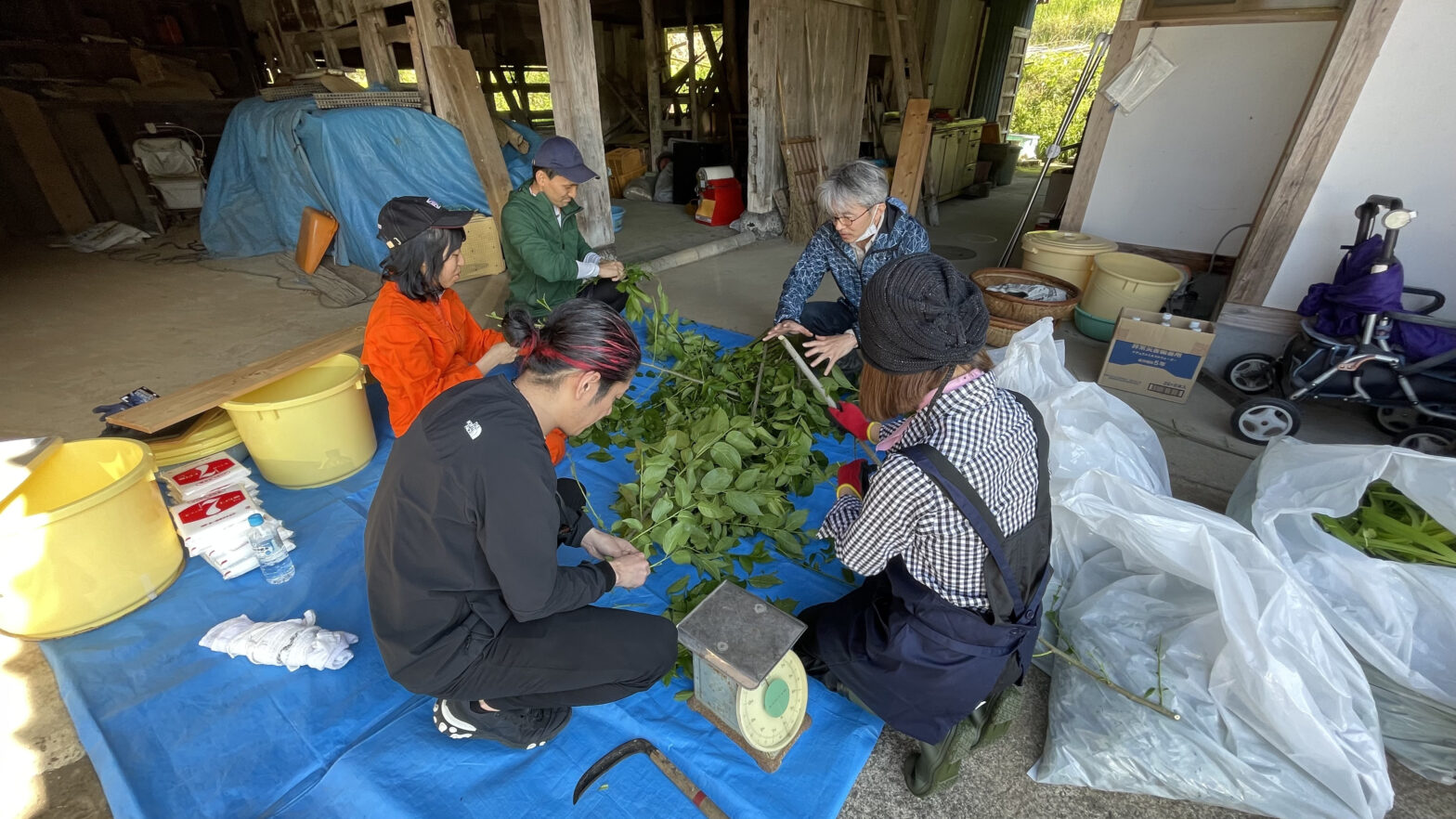 ［2023年］春の酵素仕込み会 in 男成
